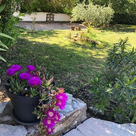 Villa Quinissole Sainte-Anastasie-sur-Issole 외부 사진